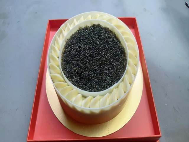 <b>仿真鱼仔酱蛋糕模型</b>