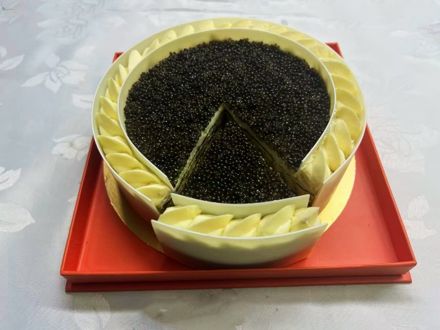 仿真蛋糕 鲟鱼仔蛋糕模型