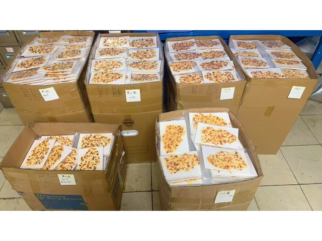 <b>仿真批萨饼食品模型定制已完成交货</b>